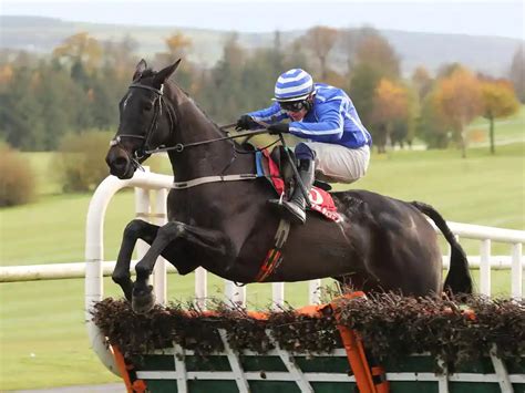 baring bingham hurdles.